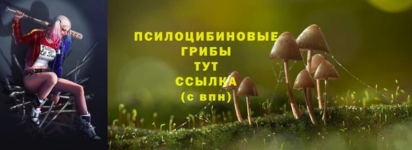 МДМА Кодинск