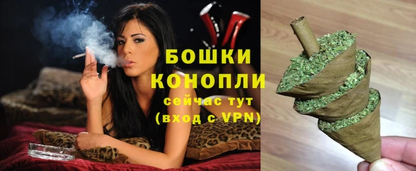 соль ск Коряжма
