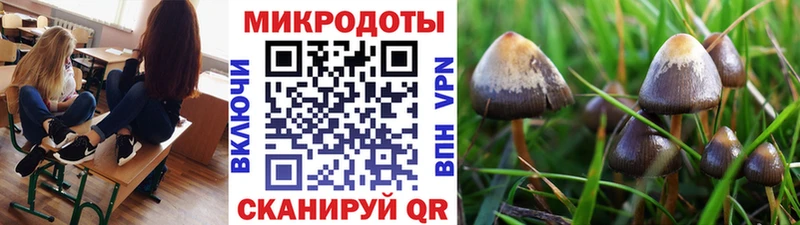 Галлюциногенные грибы прущие грибы  магазин продажи наркотиков  Краснослободск 